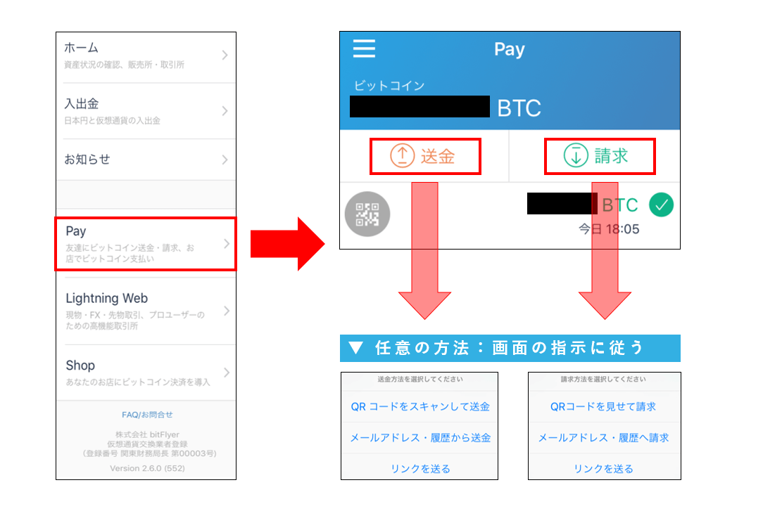 「Pay」機能とは