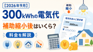 【2026年9月】300kWhの電気代はいくら？補助縮小後の料金を解説